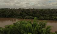Rio Taquari em Coxim/MS  Imagens de Drone: A Beleza Natural do Mato Grosso do Sul em 4K
