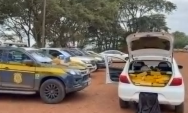 PRF apreende 379 quilos de maconha e prende dois homens na BR-376 em Ivinhema
