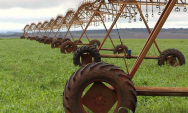 Ladr&otilde;es furtam 100 metros de cabos el&eacute;tricos de piv&ocirc; de irriga&ccedil;&atilde;o em fazenda de Bandeirantes
