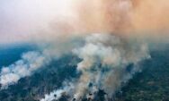 Mato Grosso do Sul decreta emerg&ecirc;ncia ambiental e refor&ccedil;a combate preventivo a inc&ecirc;ndios