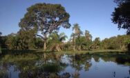 &Aacute;guas voltam a avan&ccedil;ar sobre o Pantanal 