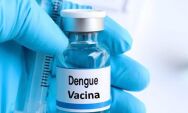 Anvisa cria for&ccedil;a-tarefa para investigar seguran&ccedil;a da vacina contra a dengue ap&oacute;s casos graves