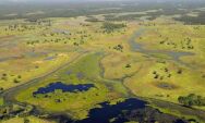 Pantanal segue abaixo da m&eacute;dia hist&oacute;rica de &aacute;gua e MS lidera perdas no pa&iacute;s