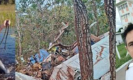 Piloto e pesquisadora alem&atilde; morrem em queda de avi&atilde;o em Campo Grande