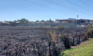 Inc&ecirc;ndio de grandes propor&ccedil;&otilde;es atinge pastagem &agrave;s margens da BR-262 e mobiliza bombeiros 