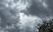 Massa de ar frio chega novamente na sexta-feira (3) e promete derrubar as temperaturas 