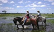 Rio Verde - Pantanal