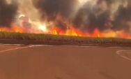 Incêndio de grandes proporções assusta a cidade de Sonora/MS