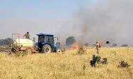 Incêndios florestais atingem Coxim, Naviraí, Paranaíba e divisa com MT