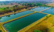 Sanesul preserva recursos naturais tratando 130 milhões de litros de esgoto por dia em MS