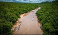 Com foco em Coxim e Rio Verde, evento turístico busca ampliar presença da Rota Cerrado-Pantanal 