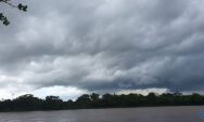 Mato Grosso do Sul tem risco de chuva intensa entre hoje e amanhã