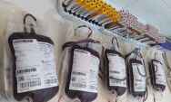 São Gabriel do Oeste promove campanha de doação de sangue e cadastro de medula óssea