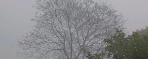 Mato Grosso do Sul ter&aacute; a frente fria mais intensa do ano e o tempo em Coxim tamb&eacute;m muda