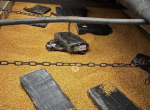 DOF apreende 2,1 toneladas de maconha escondidas em carga de milho na rodovia MS-160
