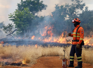 Bombeiros refor&ccedil;am prepara&ccedil;&atilde;o para temporada de inc&ecirc;ndios com queima prescrita no Parque Nascentes 