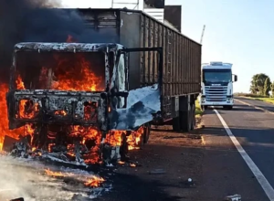 Carreta pega fogo na MS-395 e bois s&atilde;o soltos na rodovia
