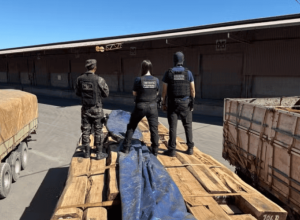 Receita Federal aguarda novo parecer para liberar madeira apreendida em Corumb&aacute;
