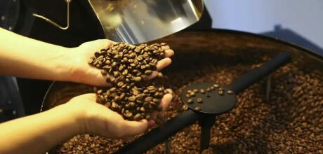 Brasil exporta 46 milh&otilde;es de sacas de caf&eacute;, atingindo recorde em 2024