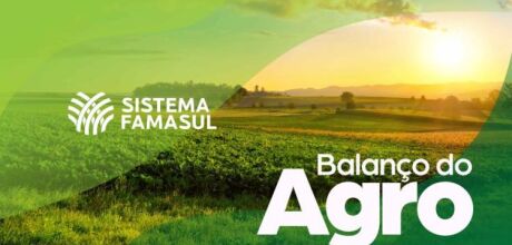 Famasul divulga balan&ccedil;o do Agro de MS em 2024