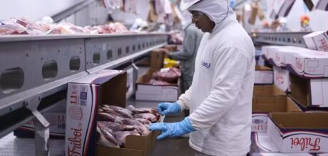 MS aumenta exporta&ccedil;&atilde;o de carne bovina em 33,73% em 2024