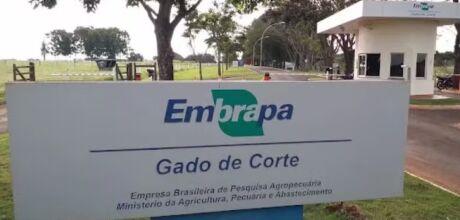 Com vagas para tr&ecirc;s cidades de MS, Embrapa prorroga pela segunda vez as inscri&ccedil;&otilde;es