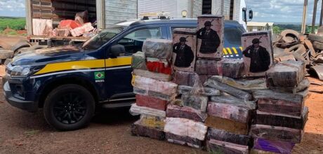 PRF apreende quase seis toneladas de maconha em Ponta Por&atilde;
