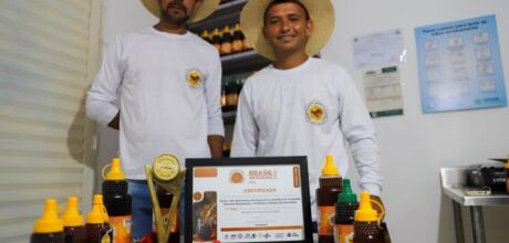 Melhor mel escuro do Brasil &eacute; de associa&ccedil;&atilde;o atendida pelo Senar/MS no Pantanal