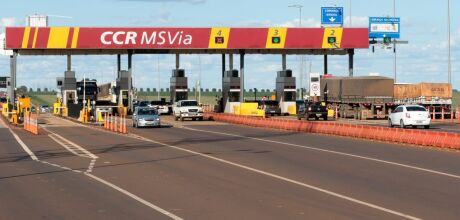 Sem duplica&ccedil;&atilde;o, CCR faturou R$ 229,2 milh&otilde;es em ped&aacute;gios em 2024