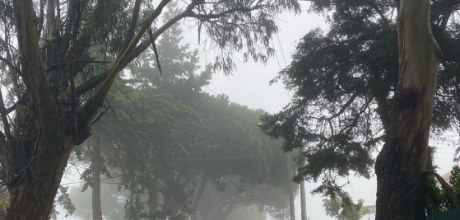Coxinense que gosta de frio pode comemorar: primeira frente fria do ano chega nos primeiros dias de 