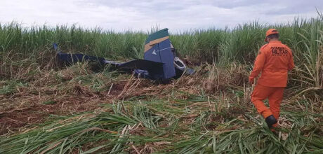 Piloto morre em queda de avi&atilde;o agr&iacute;cola

