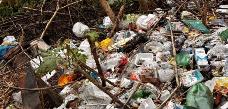 Descarte de lixo em terrenos baldios de Coxim vira dor de cabe&ccedil;a para moradores