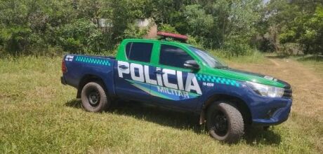 Den&uacute;ncia de abate de on&ccedil;as-pardas em Camapu&atilde; leva a investiga&ccedil;&atilde;o de crime ambiental
