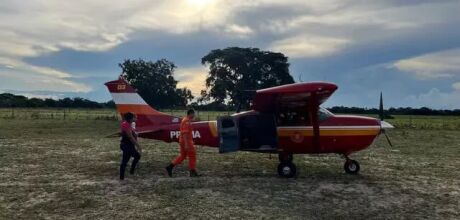 Beb&ecirc; debilitada &eacute; resgatada de avi&atilde;o em &aacute;rea remota do Pantanal
