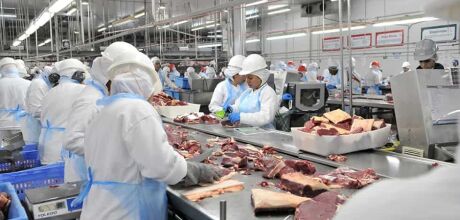 S&atilde;o Gabriel do Oeste e Rio Verde se destacam na gera&ccedil;&atilde;o de empregos na ind&uacute;stria em MS
