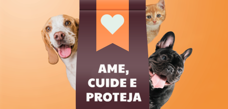 Abril Laranja: M&ecirc;s de Conscientiza&ccedil;&atilde;o e Preven&ccedil;&atilde;o da Crueldade contra os Animais