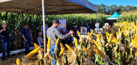 Dia de Campo da Coamo re&uacute;ne 150 participantes em S&atilde;o Gabriel do Oeste com foco em tecnologias 