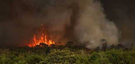 C&acirc;mara aprova aumento de puni&ccedil;&atilde;o a quem provocar inc&ecirc;ndios florestais