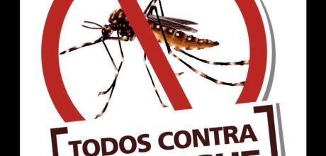 Dengue faz mais tr&ecirc;s v&iacute;timas e total de mortes chega a 15 em MS em 2025

