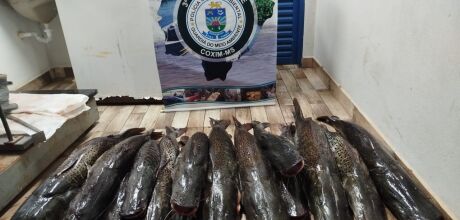 PMA de Coxim apreende 134 kg de pescado ilegal durante opera&ccedil;&atilde;o na regi&atilde;o dos Bispos
