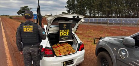DOF apreende maconha que seria levada a Curitiba; suspeito receberia R$ 10 mil pelo transporte

