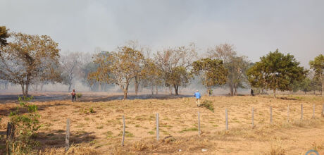 Inc&ecirc;ndio que atingiu propriedades rurais &eacute; alvo de investiga&ccedil;&atilde;o do Minist&eacute;rio P&uacute;blico em Coxim
