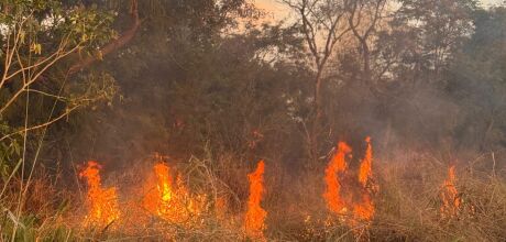  Inc&ecirc;ndio assusta moradores do Nova Coxim e mobiliza Corpo de Bombeiros