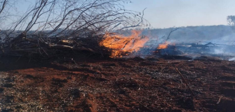 PMA autua propriet&aacute;rio em Sonora por uso de fogo ilegal tr&ecirc;s dias ap&oacute;s in&iacute;cio da Opera&ccedil;&atilde;o Focus
