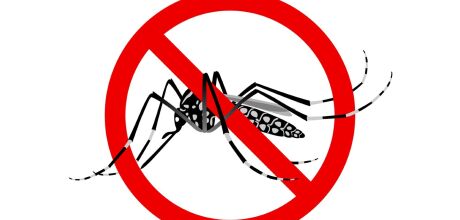 Mortes por dengue em Coxim acendem sinal vermelho: MS j&aacute; soma 33 v&iacute;timas em 2025 