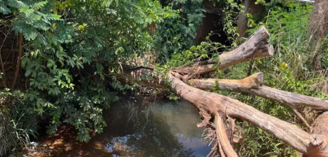 Produtor de mandioca morre afogado ao tentar coletar &aacute;gua em c&oacute;rrego de Rio Verde de Mato Grosso
