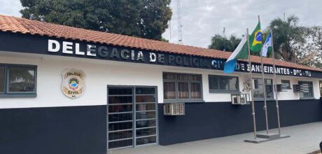 Cachorro da ra&ccedil;a Rottweiler invade ch&aacute;cara de Bandeirantes, mata galinhas e fere porco

