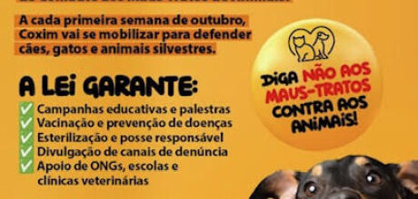 Eles Sentem Como N&oacute;s a Dor Silenciosa dos Animais Maltratados