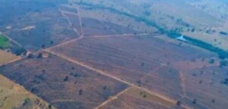 Empresa &eacute; multada em quase R$ 4 milh&otilde;es ap&oacute;s inc&ecirc;ndio devastar mais de 2 mil hectares em Coxim 