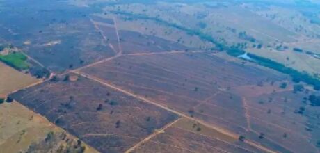 Empresa &eacute; multada em R$ 3,9 milh&otilde;es por inc&ecirc;ndio que devastou 2 mil hectares em Coxim